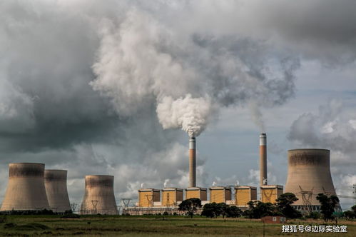 煤炭价格飙升与五大发电集团数据隐退的双重冲击 水产品产业链的暗流涌动