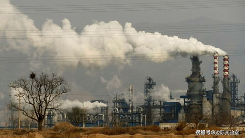 煤炭涨价与数据屏蔽 水产品行业的转型之困