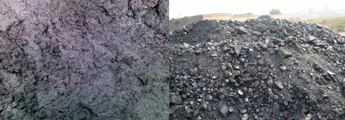 瑞新热裂解技术 变水产品废弃物为宝，助力环保新篇章